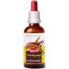 Trávníček Dračia krv - Cordyceps tinktúra 50 ml