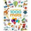 Le Larousse des 1 000 mots NE