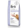 Brit Veterinary Diets GF Dog Gastrointestinal 12 kg