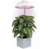 Emos LED GROW Lampa na pestovanie, 5 V DC, výška: 22 – 70 cm, 1538900010