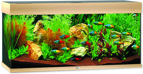 Juwel akvarijní set Rio LED 180 dub 180 l od 270 € - Heureka.sk