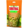 Substral - kryštalické vínna réva 350 g