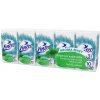 Linteo Mentol papierové vreckovky hygienické 3-vrstvové 10 x 10 ks