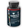 GF nutrition TRIBULUS TriComplex 120 kapsúl