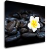 Impresi Obraz Biely kvet na čiernych kameňoch - 90 x 70 cm
