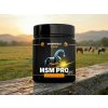 Greenfield Equine MSM Pro 1 kg