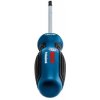 BOSCH Skrutkovač TX25x100 1600A01V0D