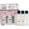 MAISON BERGER PARIS Náplně do katalytické lampy Bolero triopack Magnólie/Lesní víla/Zlatavá pšenice 3x0,25l