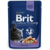 BRIT Premium cat Kapsička Adult Cod Fish 100 g