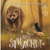 Ahoj strachu - Zelyk Iryna