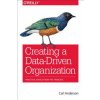 Creating a Data-Driven Organization