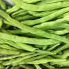 BIO Fazuľa kríčková Maxi - Phaseolus vulgaris - bio semená - 20 ks
