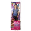 Lalka Barbie FNP43 32,5 cm