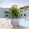 Kvetináč Lechuza Canto Color Low 30cm all-in-one set rôzne farby
