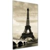 Vertikálny foto obraz akrylový Eiffelová veža Paríž 50x100 cm