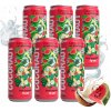 6 X NEPERLIVÁ VODA Z MLADÉHO KOKOSU COCONAUT S MELÓNOVOU ŠŤAVOU 320 ML