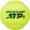 Dunlop ATP Championship 4 ks