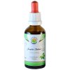 Jiaogulan Thailand AF tinktúra 50 ml od Salvia Paradise