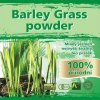 Naturgreen Mladý ječmen 100% bio 300 g