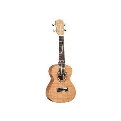 Tanglewood ROMANZA TWT6