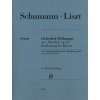 Liebeslied (Widmung)