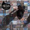 Pink Floyd - A Foot In the Door: The Best Of Pink Floyd (Reissue) (2 LP)