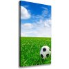 Vertikálny foto obraz na plátne Futbal na lúke 50x100 cm