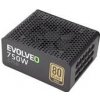 Evolveo 750W E-G750R