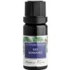 Nobilis Tilia Éterický olej Bio Borovice 10 ml