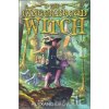 The Gingerbread Witch - Alexandra Overy