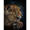 Fototapeta - PL1409 - Leopard Vliesová fototap. - 206cm x 275cm