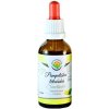 Salvia Paradise Pampeliška lékařská AF tinktura 50 ml