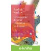 E-kniha Hosťovanie Jimiho Hendrixa vo Ľvove - Andrej Kurkov