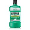 Listerine Teeth and Gum Freshmint 250 ml