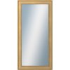 DANTIK - Zrkadlo v rámu, rozmer s rámom 60x120 cm z lišty TOOTH zlatá (2778)