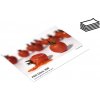 Foto lesklý papier Fomei A2 300 g/m² 20 ks (EY5839)