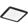 Trio R62931832 LED prisadené stropné svietidlo Camillus 1x18W | 1650lm | 3000K - SwitchDimmer