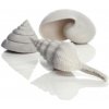 BiOrb Sea Shells Decor set biele 12, 7, 5 cm