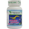 Planet Ayurveda Stress Support 60 kapsúl