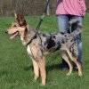 Trixie Postroj proti ťahaniu Easy Walk