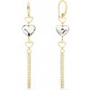 Náušnice číre so Swarovski Elements Soul KWSG280810C Krystal