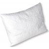 2G Vankúš Dreamfill 70x50 500g
