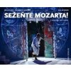 Sežeňte Mozarta! - Jiří Kottas, Jan Schmid