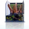 Blau cubic paludarium Selva 35