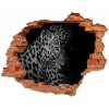 Fototapeta diera na stenu Leopard 90x70 cm