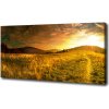 Foto obraz na plátne Panorama Tater 100x50 cm