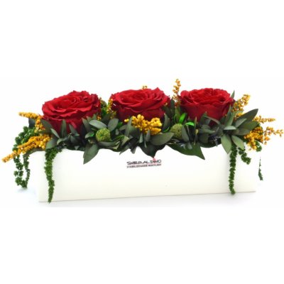Elen Red - červená (Aranž 3x stabilizovaná "večná" ruža v keramickom kvetináči)