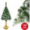 Elma | Vianočný stromček na kmeni 180 cm borovica | EA0051