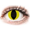 Gelflex CRAZY LENS - Cat Eye Yellow - nedioptrické jednodenné 2 šošovky