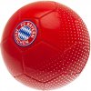 Futbalová lopta Bayern Munchen FC